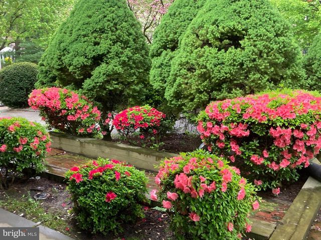 259 BARWYNNE RD, Wynnewood, PA 19096