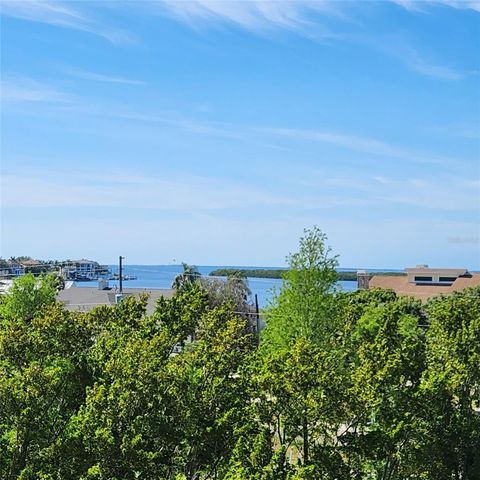 501 PALM AVENUE, Palm Harbor, FL 34683