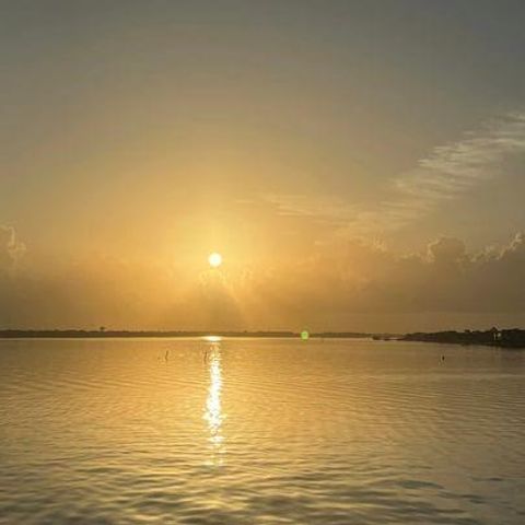 401 Lakeside Lane 203, Houston, TX 77058