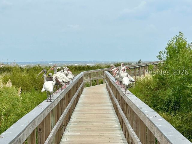 3 Cedar Reef Dr Unit E102, St Helena Island, SC 29920