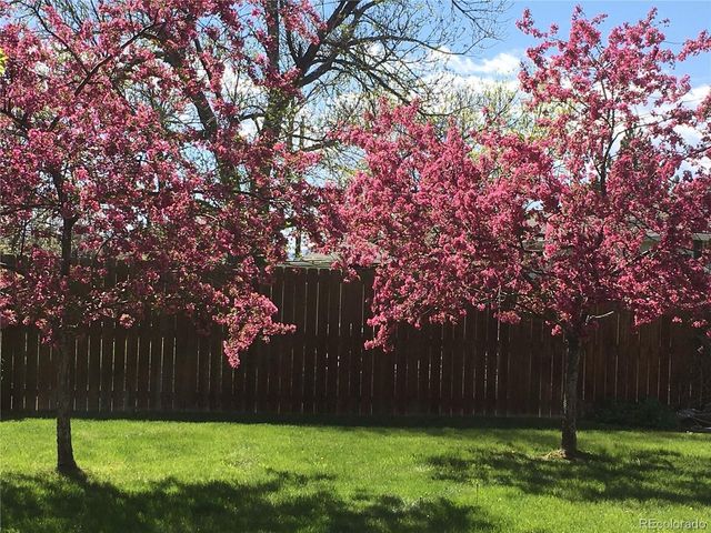 7474 Broadview Dr, Denver, CO 80214