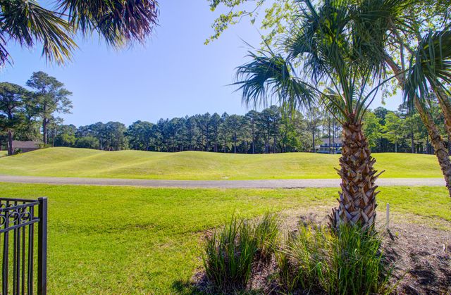 4477 Downing Place Way, Mount Pleasant, SC 29466