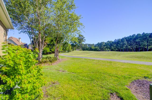 4477 Downing Place Way, Mount Pleasant, SC 29466