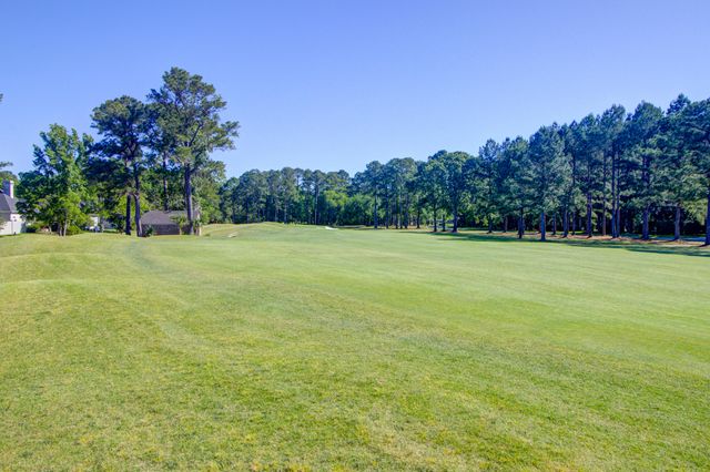 4477 Downing Place Way, Mount Pleasant, SC 29466