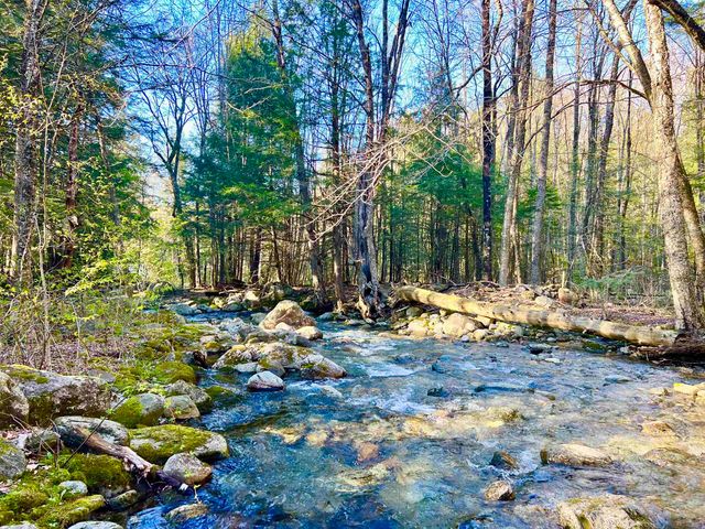 559 Corporation Road, Rochester, VT 05767