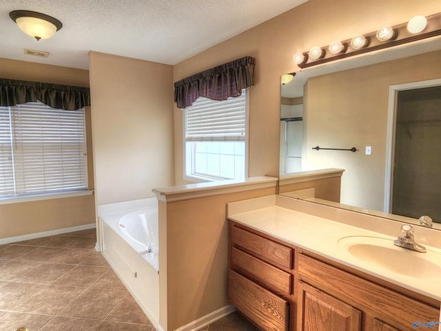 227 Park Stone Drive, Madison, AL 35758