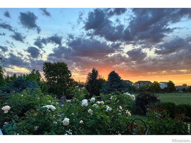 8270 Cherry Blossom Drive, Windsor, CO 80550
