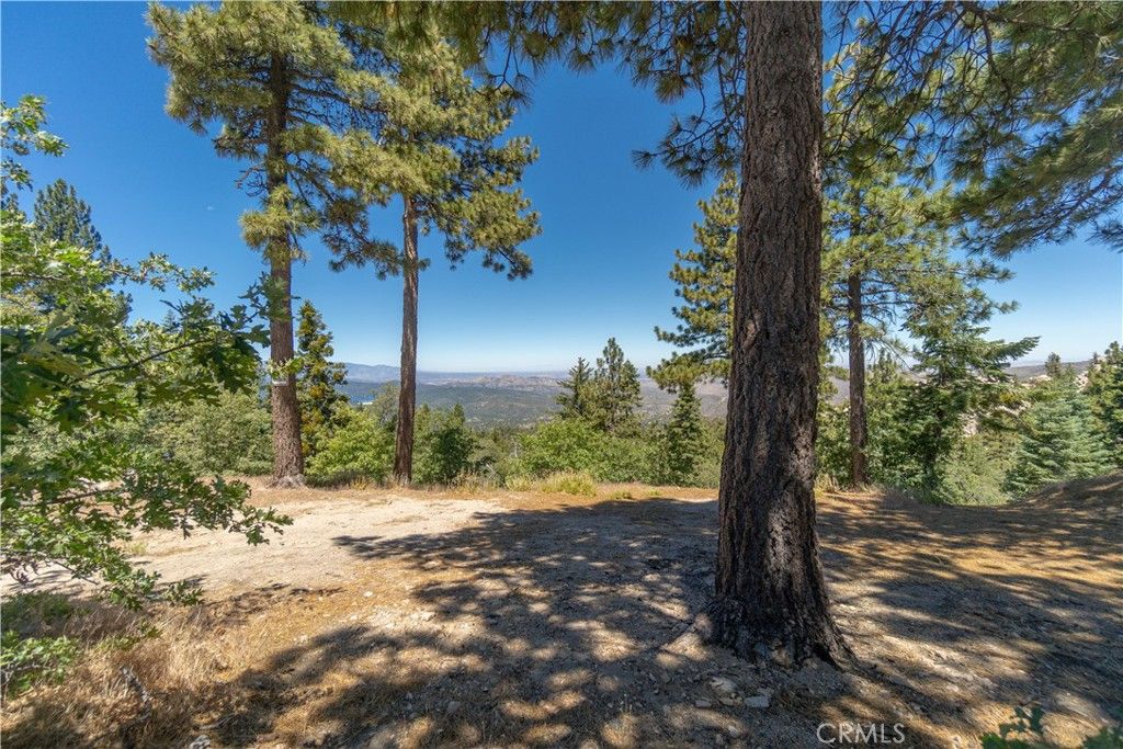 Image 43 of property listing at 33163 Holcomb Creek, Green Valley Lake, CA 92341