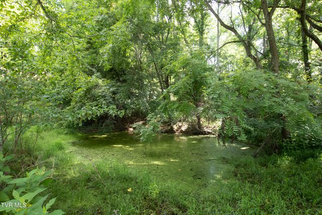 18409 Lavender Lane, Bristol, VA 24202