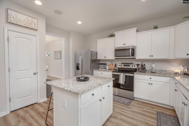 413 Blue Artesian Way 413, Lexington, SC 29073