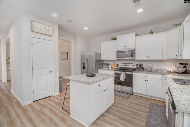 413 Blue Artesian Way 413, Lexington, SC 29073