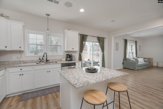 413 Blue Artesian Way 413, Lexington, SC 29073