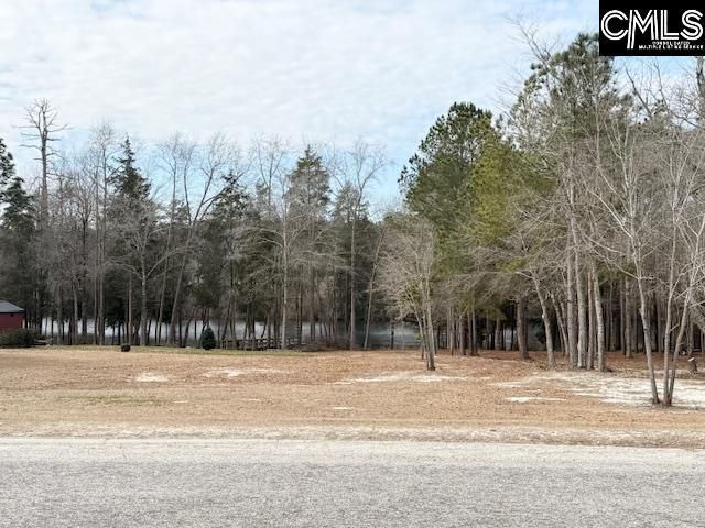 413 Blue Artesian Way 413, Lexington, SC 29073