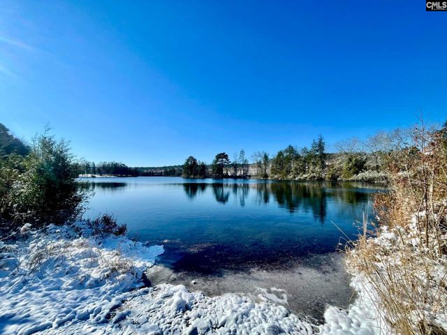 413 Blue Artesian Way 413, Lexington, SC 29073