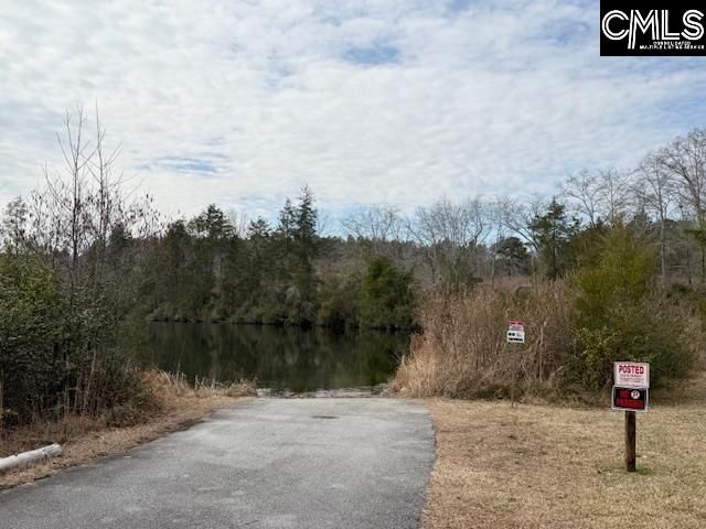 413 Blue Artesian Way 413, Lexington, SC 29073