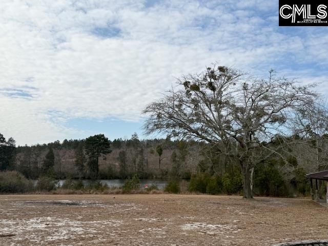 413 Blue Artesian Way 413, Lexington, SC 29073