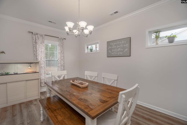 413 Blue Artesian Way 413, Lexington, SC 29073