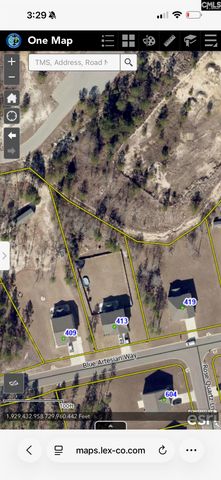 413 Blue Artesian Way 413, Lexington, SC 29073