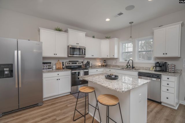 413 Blue Artesian Way 413, Lexington, SC 29073