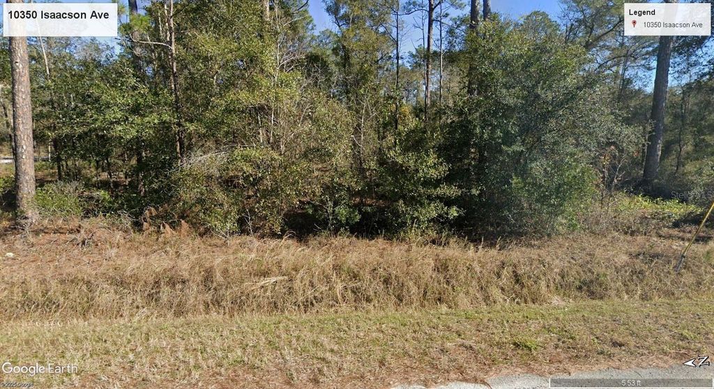 10350 ISAACSON AVENUE, Hastings, FL 32145