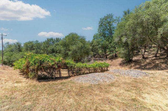 13333 Pioneer Dr, Jackson, CA 95642