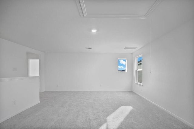 8002 Horse Haven Lane, Hockley, TX 77447