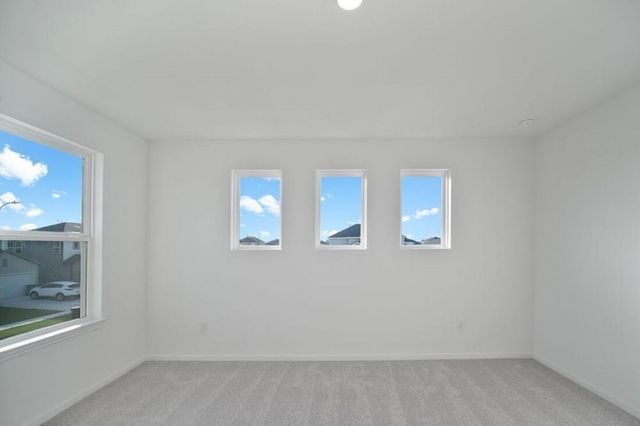 8002 Horse Haven Lane, Hockley, TX 77447