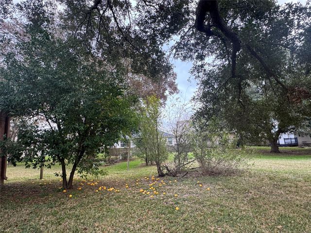 6987 Pleasure Lake Drive, Willis, TX 77318