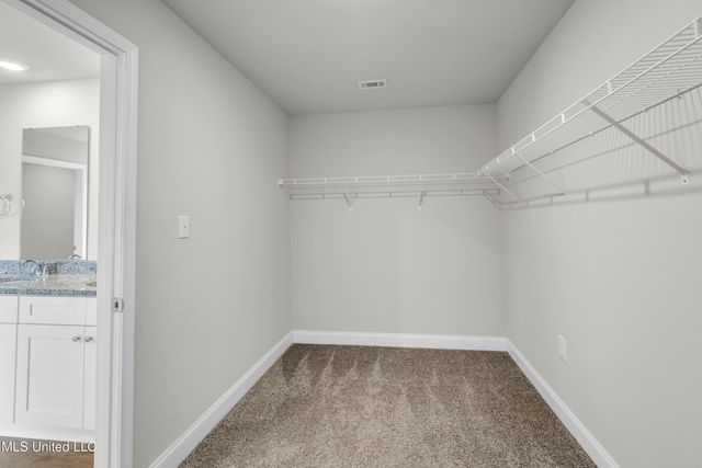 10440 Willow Leaf Drive, Gulfport, MS 39503