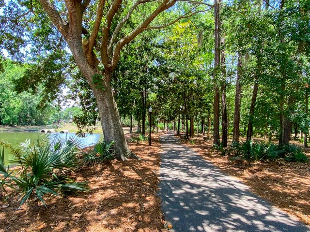 2660 Magnolia Woods Drive, Mount Pleasant, SC 29464