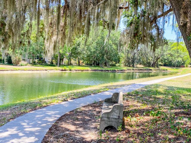 2660 Magnolia Woods Drive, Mount Pleasant, SC 29464