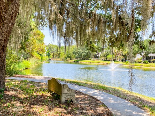 2660 Magnolia Woods Drive, Mount Pleasant, SC 29464