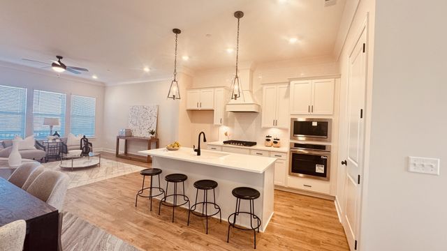 468 Buckwood Ave, Thompsons Station, TN 37179