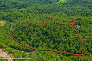 Boyd Way, Cosby, TN 37722