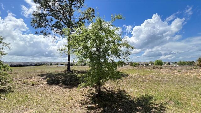 2440 WHITE POPPY DRIVE, Kissimmee, FL 34747