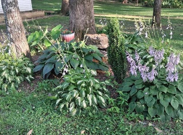 1207 Edgewater Road, Horseshoe Bend, AR 72512