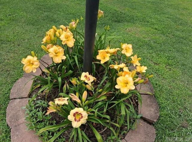 1207 Edgewater Road, Horseshoe Bend, AR 72512