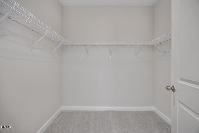 428 Golden Dragonfly Street, Wake Forest, NC 27587