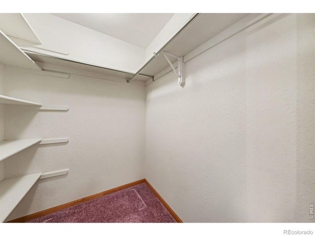 6621 County Road 84, Fort Collins, CO 80524