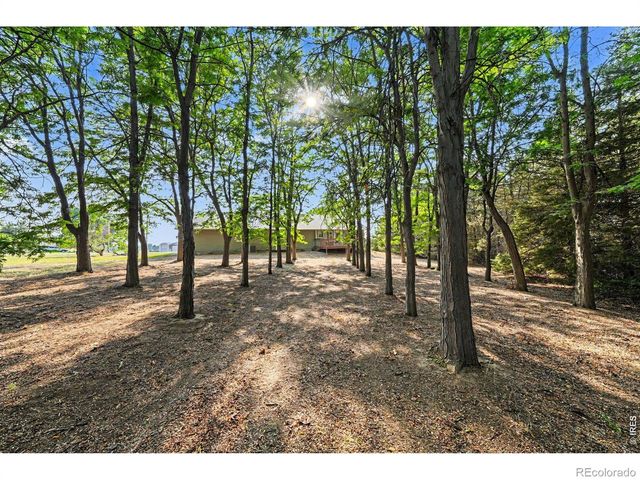 6621 County Road 84, Fort Collins, CO 80524