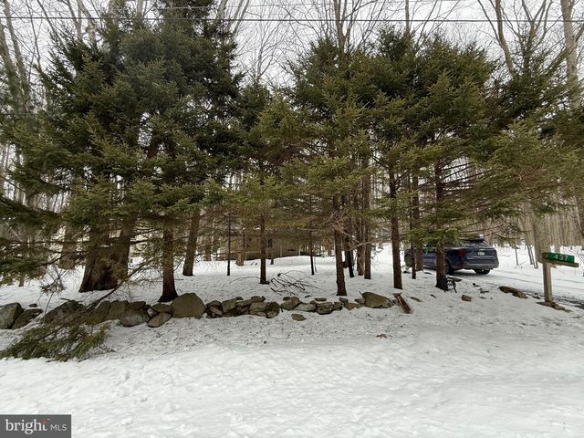 437 ORONO DR, Pocono Lake, PA 18347