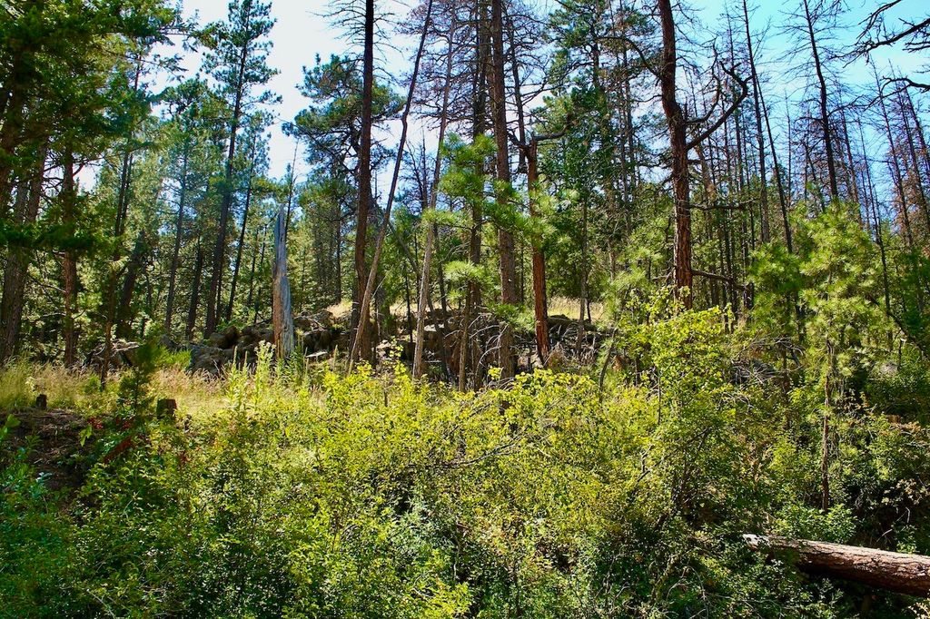 00 Box Canyon Lane, Cascade, MT 59421