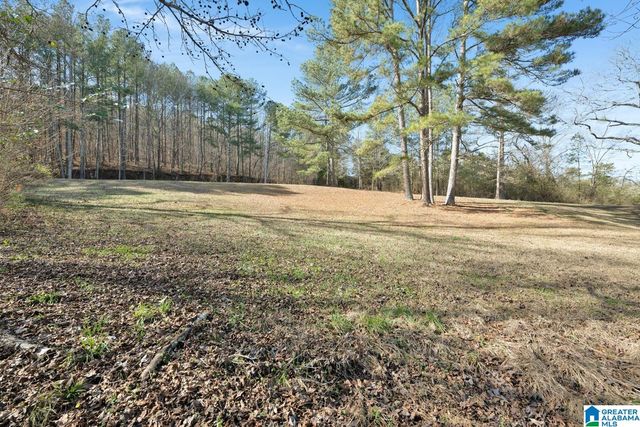 3050 COUNTY ROAD 974, Crane Hill, AL 35053