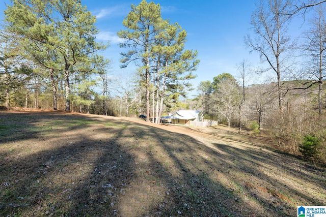 3050 COUNTY ROAD 974, Crane Hill, AL 35053
