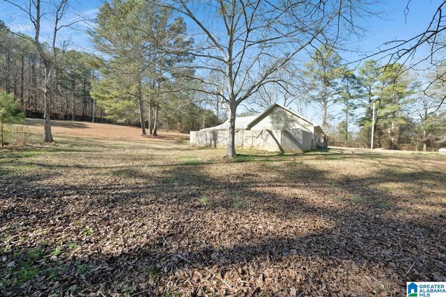 3050 COUNTY ROAD 974, Crane Hill, AL 35053
