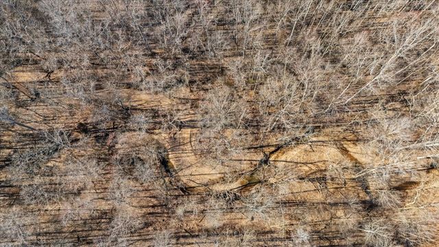 0 West of Magnolia Road, Stewart, TN 37175