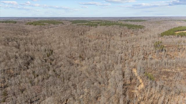 0 West of Magnolia Road, Stewart, TN 37175