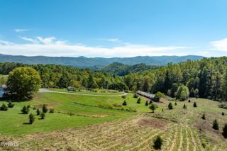 1311 Deer Run Road, Mountain City, TN 37683