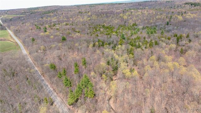 9.2 acres Van Buren Road, Camden, NY 13316