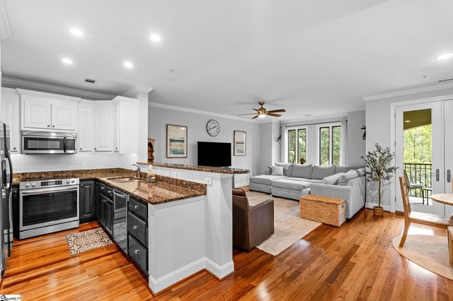 1209 E Washington Street Unit 304, Greenville, SC 29601